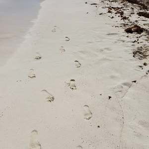 Meet your Posher, Olivier